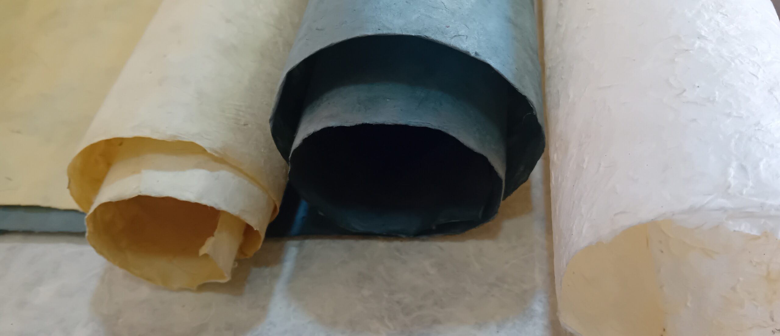 ٢٠٢٦٠١٢٠_١٤١٦١٦